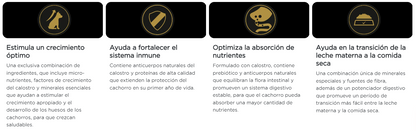 Purina Pro Plan cachorro raza grande