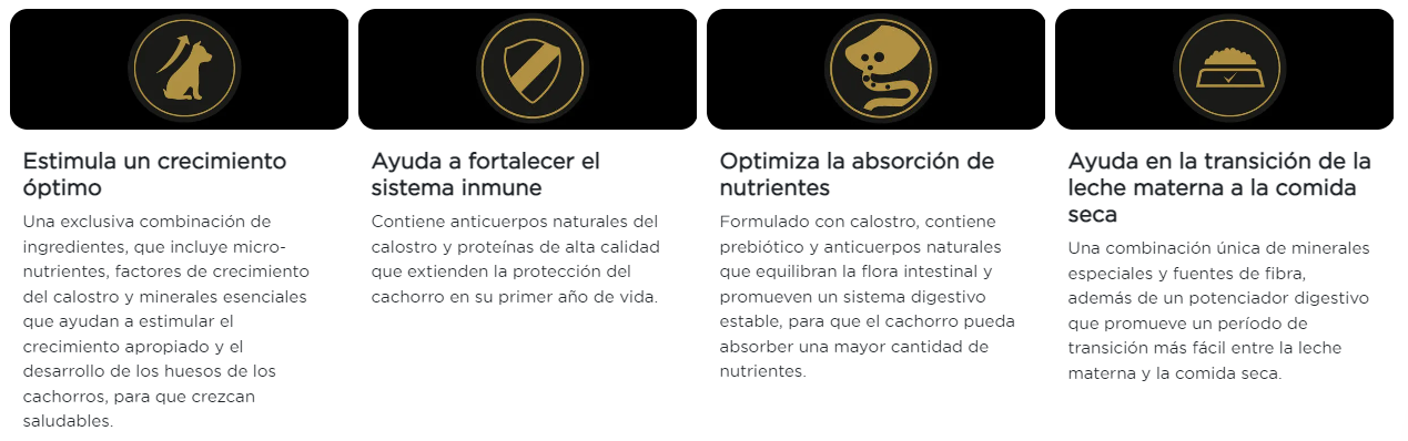 Purina Pro Plan perro cachorro paquete 10 latas