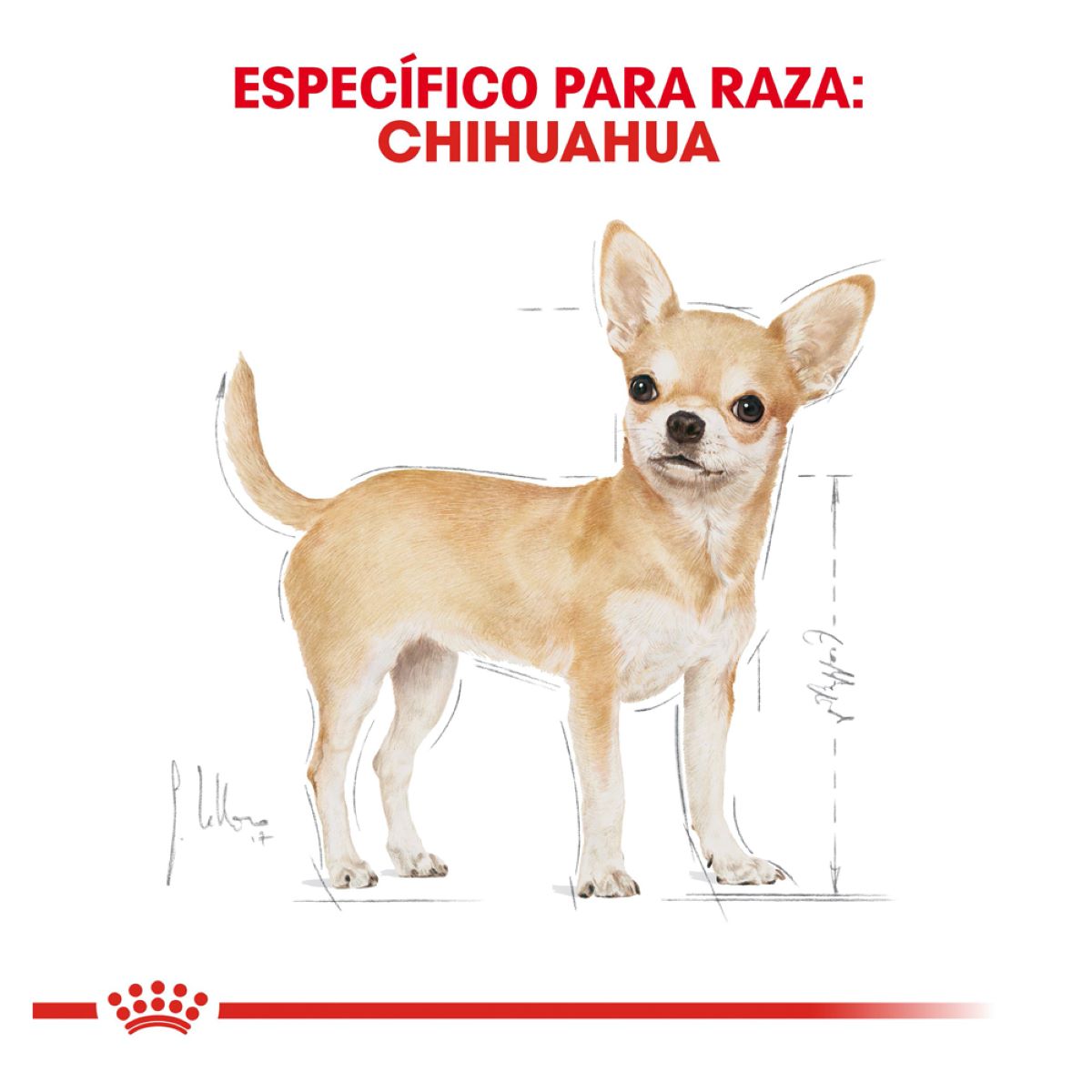 Royal canin, BHN, Chihuahua Adult