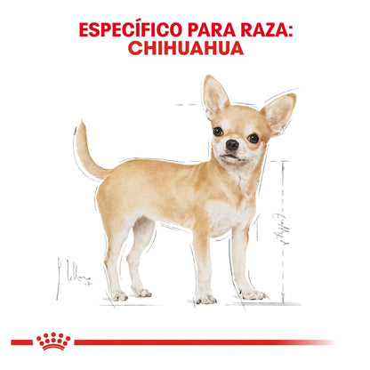 Royal canin, BHN, Chihuahua Adult