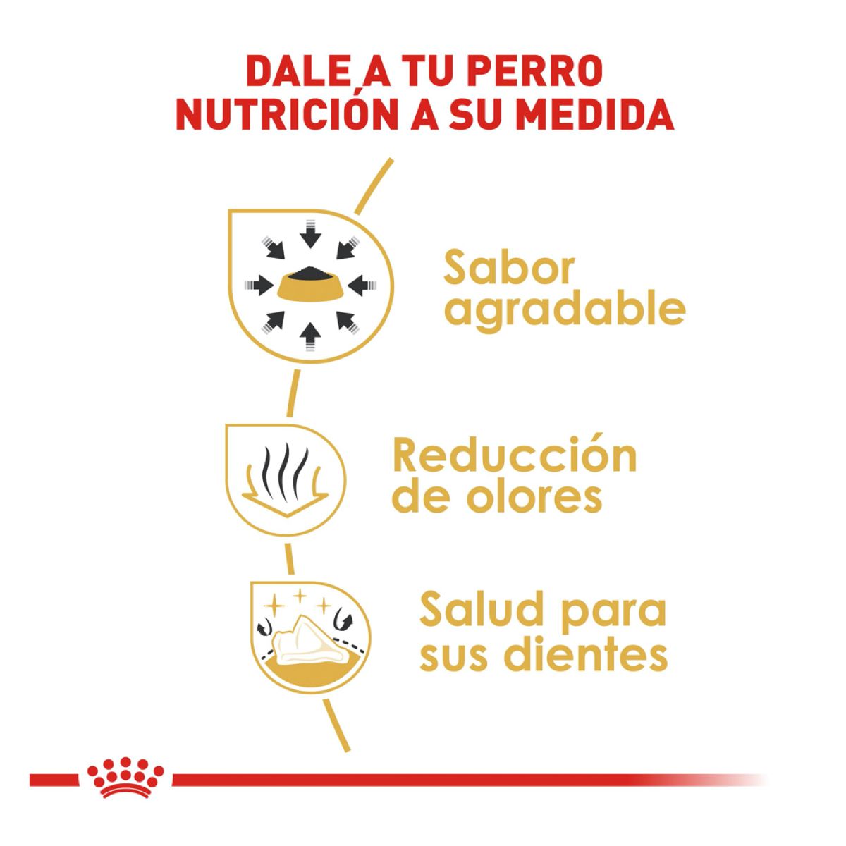 Royal canin, BHN, Chihuahua Adult