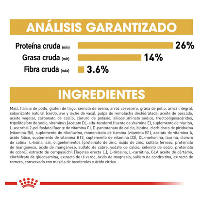 Royal canin, BHN, Chihuahua Adult