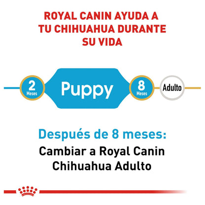 Royal canin, BHN, Chihuahua Puppy