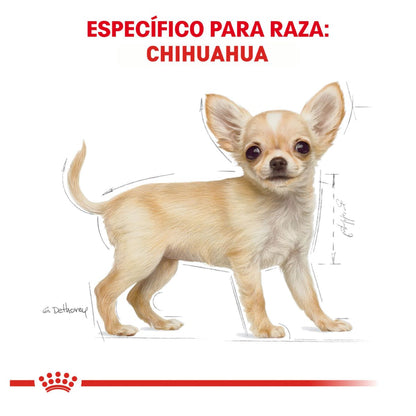 Royal canin, BHN, Chihuahua Puppy
