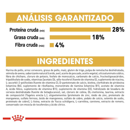 Royal canin, BHN, Chihuahua Puppy