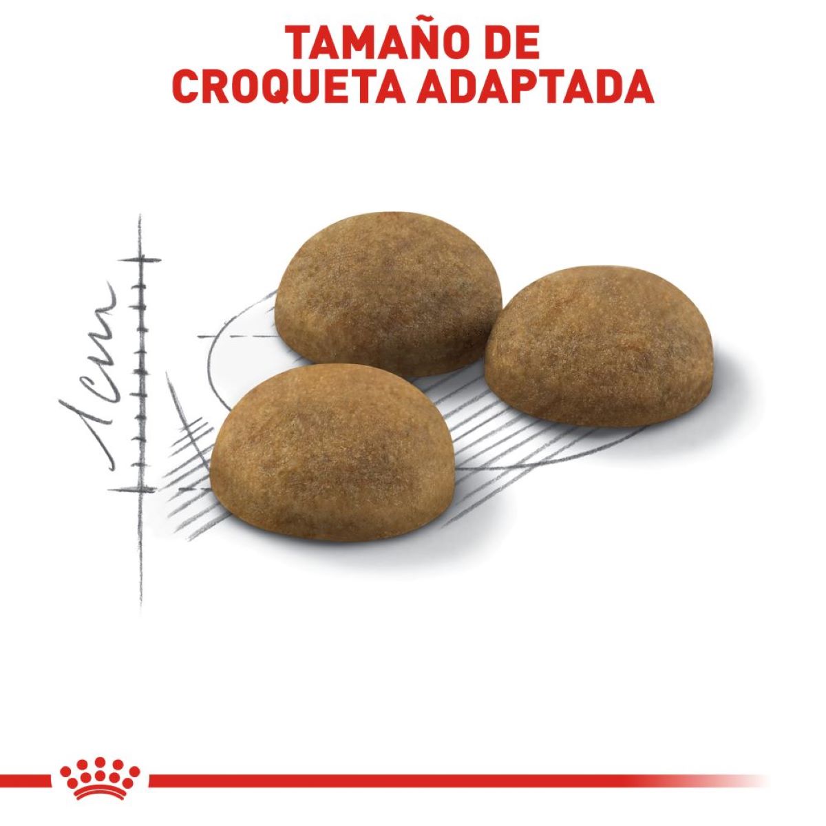Royal canin, FHN, Indoor Adult