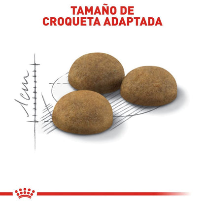 Royal canin, FHN, Indoor Adult