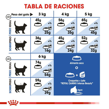 Royal canin, FHN, Indoor Adult