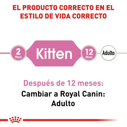 Royal canin, FHN, Kitten