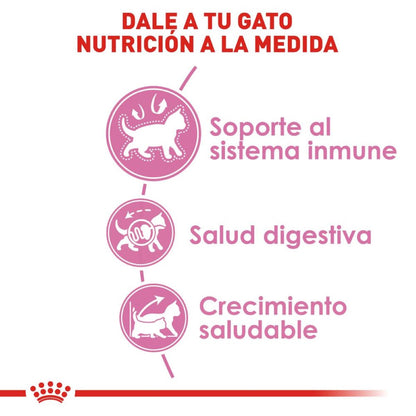 Royal canin, FHN, Kitten