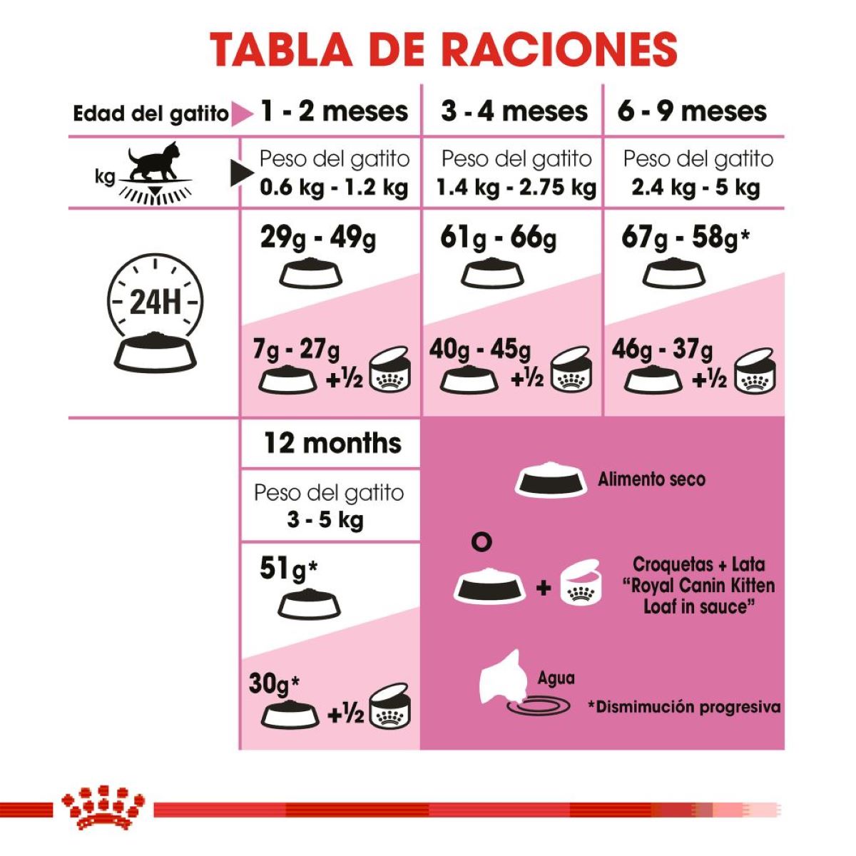 Royal canin, FHN, Kitten
