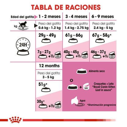 Royal canin, FHN, Kitten