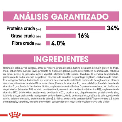 Royal canin, FHN, Kitten