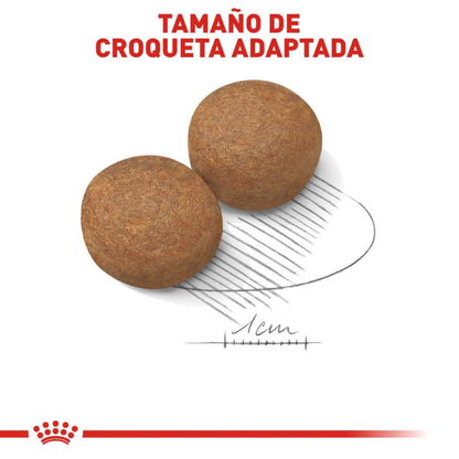 Royal canin, SHN, Large Adult