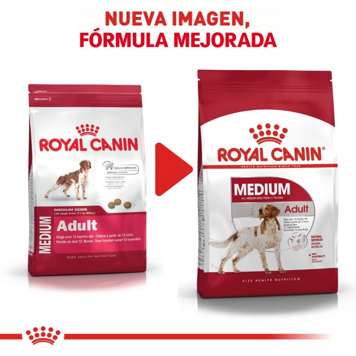 Royal Canin, SHN, Medium Adult