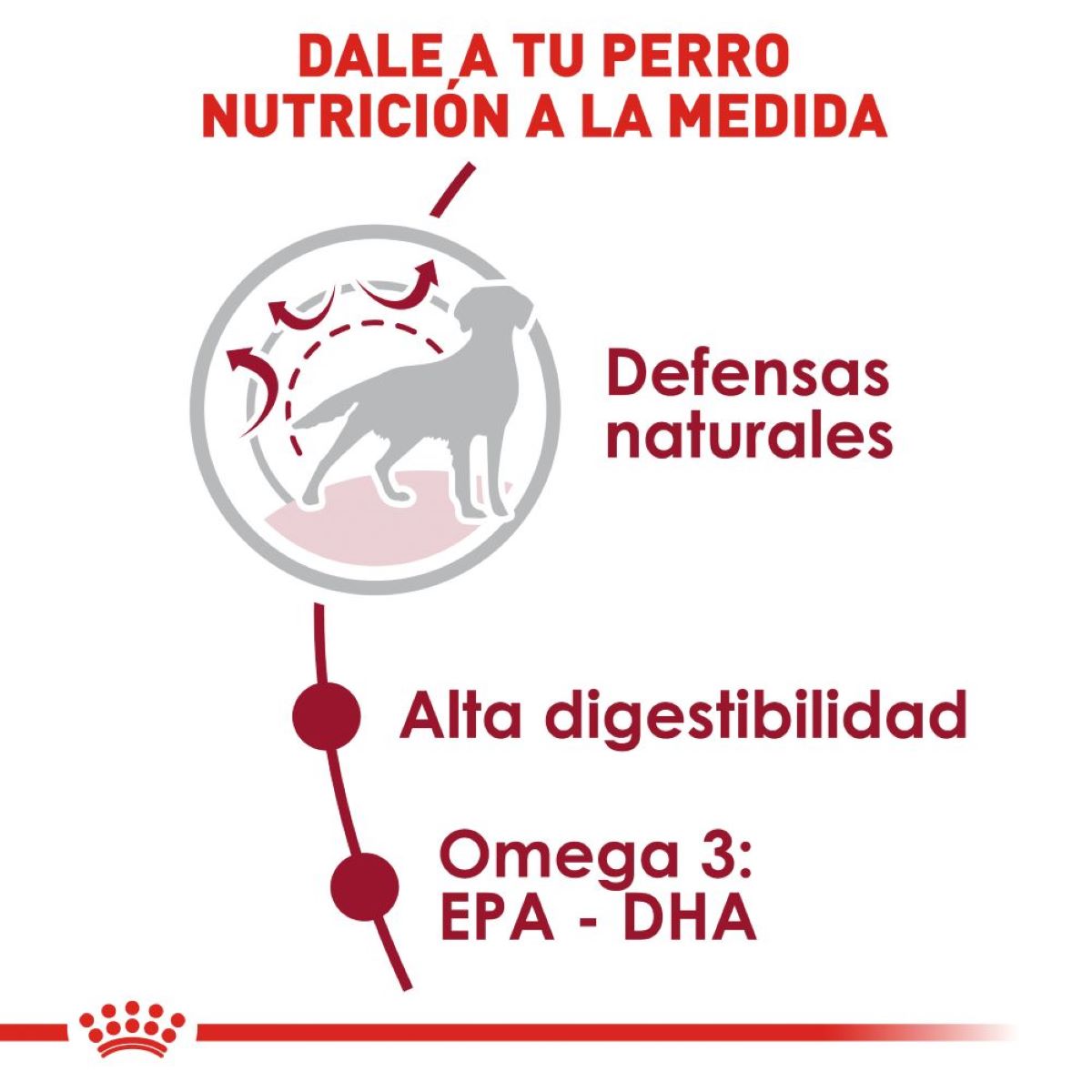 Royal Canin, SHN, Medium Adult