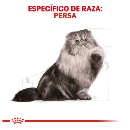 Royal canin, FBHN, Persian Adult