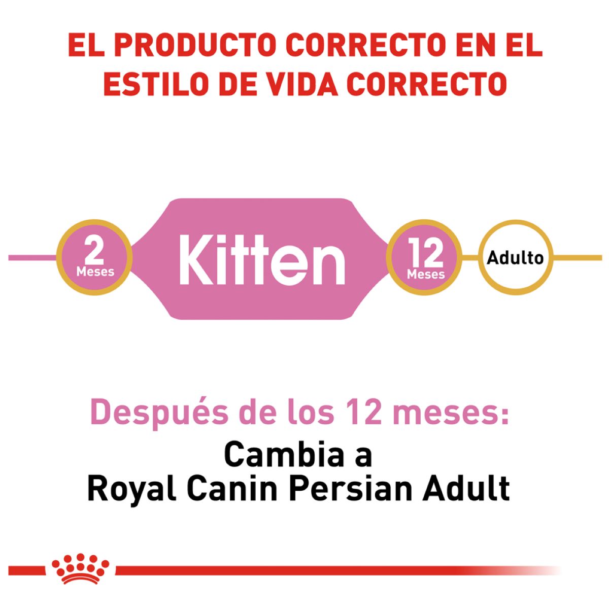 Royal canin, FBHN, Persian Kitten