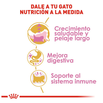 Royal canin, FBHN, Persian Kitten