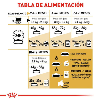Royal canin, FBHN, Persian Kitten