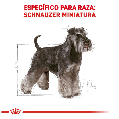 Royal canin, BHN, Mini Schnauzer Adult