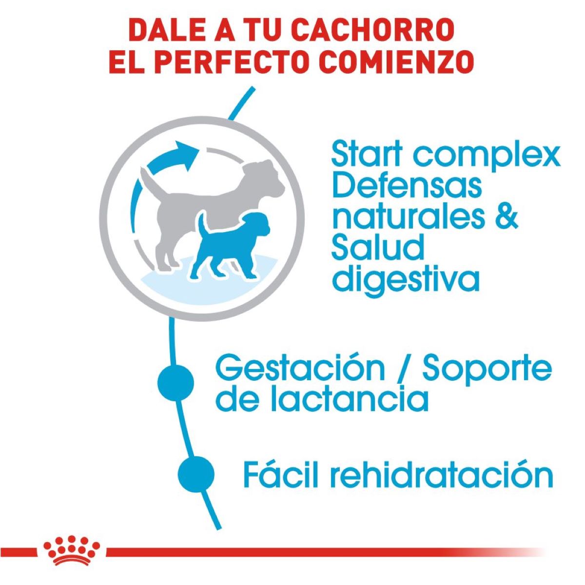 Royal Canin, SHN, Small Starter Mother&Baby Dog