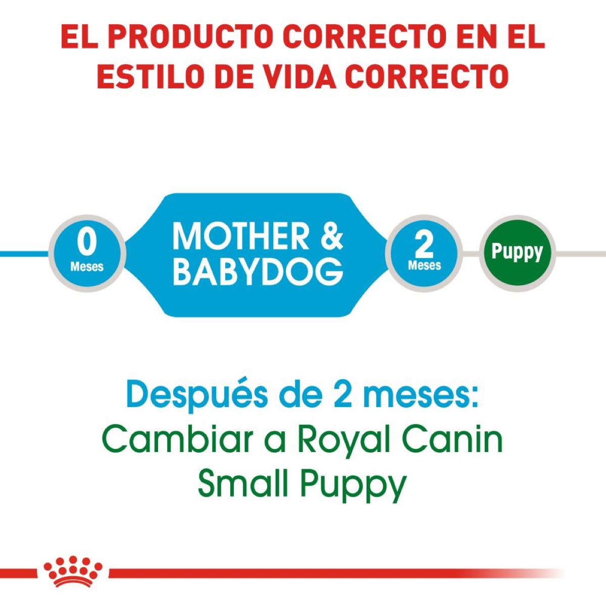 Royal Canin, SHN, Small Starter Mother&Baby Dog
