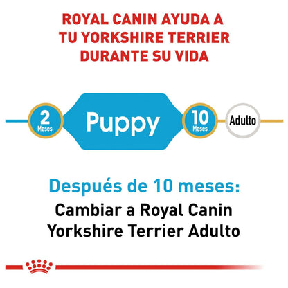 Royal canin, BHN, Yorkshire Terrier Puppy