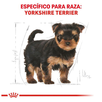 Royal canin, BHN, Yorkshire Terrier Puppy
