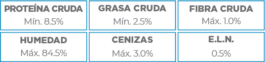 Nupec Felino Kitten Paquete de 4 latas de 100g cada una