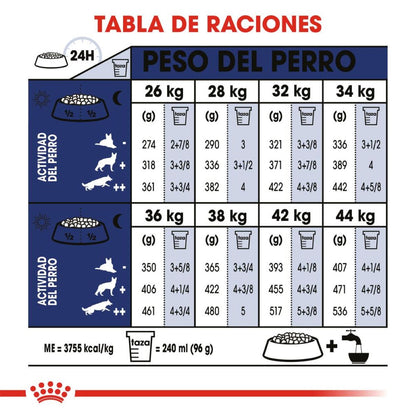 Royal canin, SHN, Large Adult
