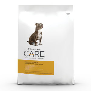 Diamond sensitive stomach dog