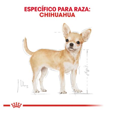 Royal canin, BHN, Chihuahua Adult - Imagen 3