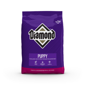 Diamond puppy dog