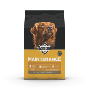 Diamond maintenance dog