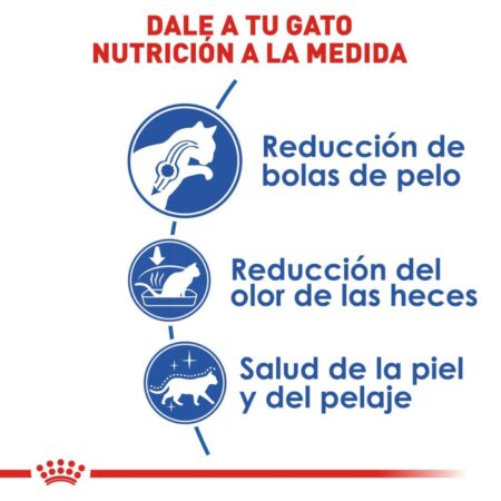 Royal canin, FHN, Indoor Adult - Imagen 3