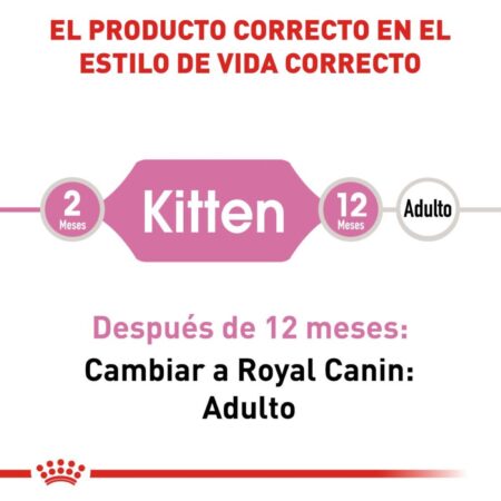 Royal canin, FHN, Kitten - Imagen 3