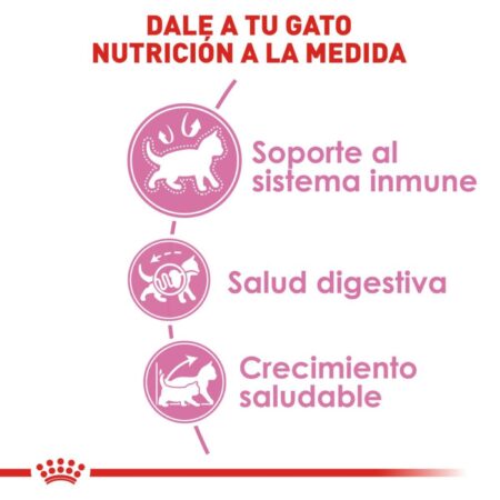 Royal canin, FHN, Kitten - Imagen 4