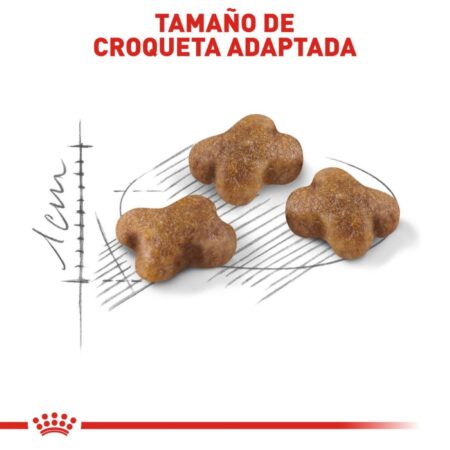 Royal canin, FHN, Kitten - Imagen 5