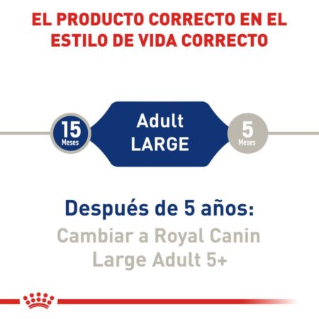 Royal canin, SHN, Large Adult - Imagen 4