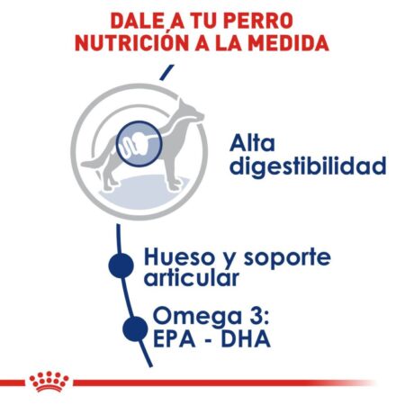 Royal canin, SHN, Large Adult - Imagen 5