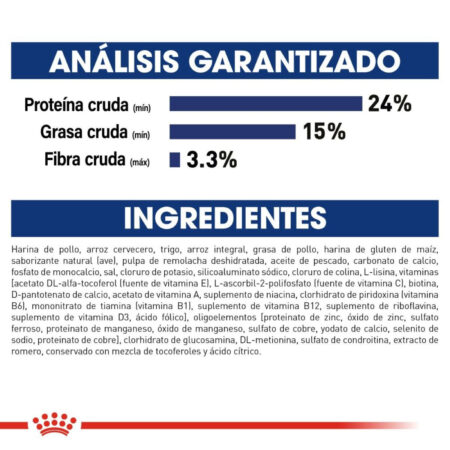 Royal canin, SHN, Large Adult - Imagen 6