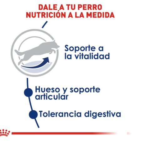 Royal canin, SHN, Large Adult +5 - Imagen 3