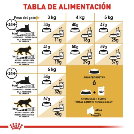 Royal canin, FBHN, Persian Adult - Imagen 7