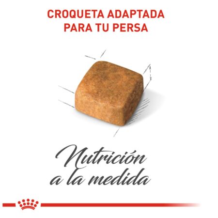 Royal canin, FBHN, Persian Kitten - Imagen 5