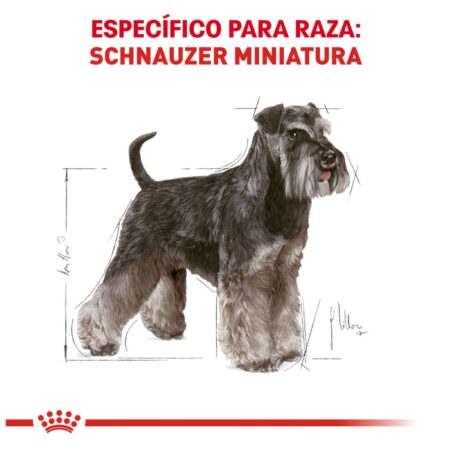 Royal canin, BHN, Mini Schnauzer Adult - Imagen 3