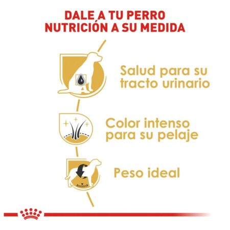 Royal canin, BHN, Mini Schnauzer Adult - Imagen 6
