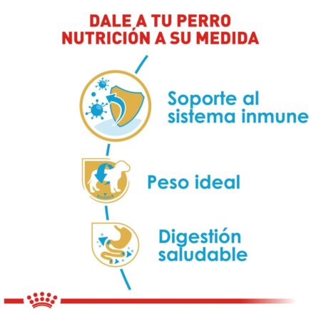 Royal canin, BHN, Mini Schnauzer Puppy - Imagen 6