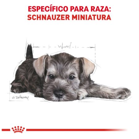 Royal canin, BHN, Mini Schnauzer Puppy - Imagen 3