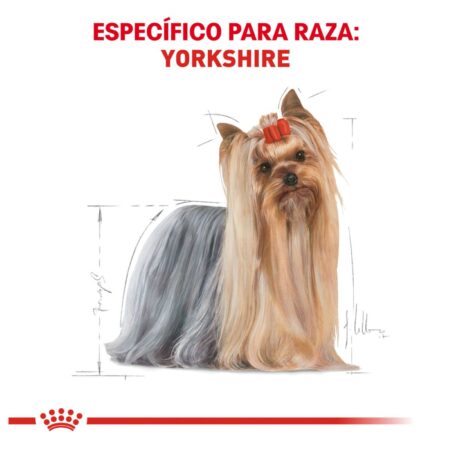 Royal canin, BHN, Yorkshire Terrier Adult - Imagen 3